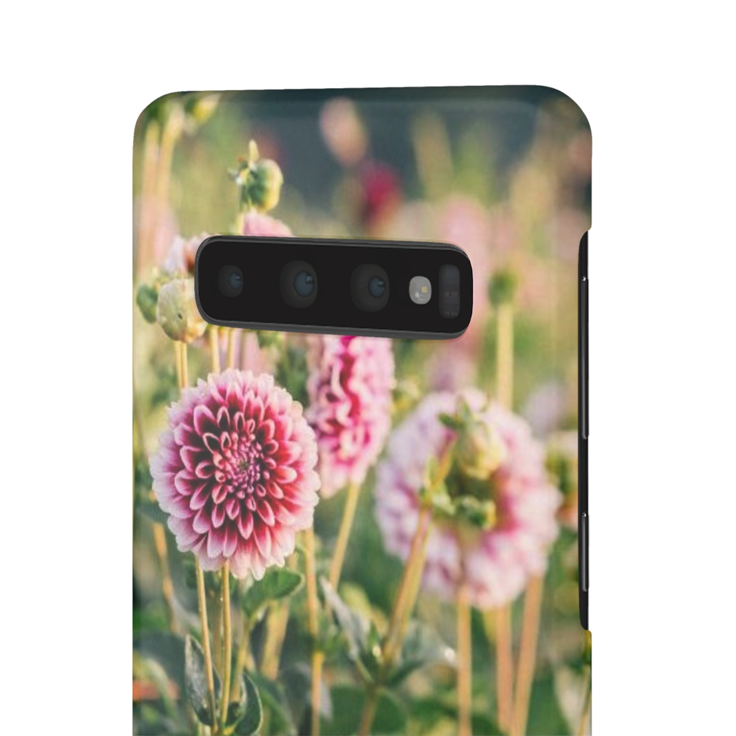 Snap Cases