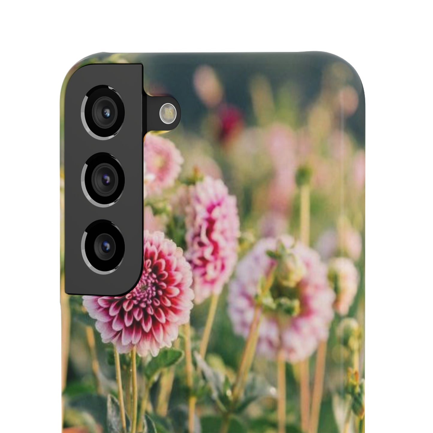 Snap Cases
