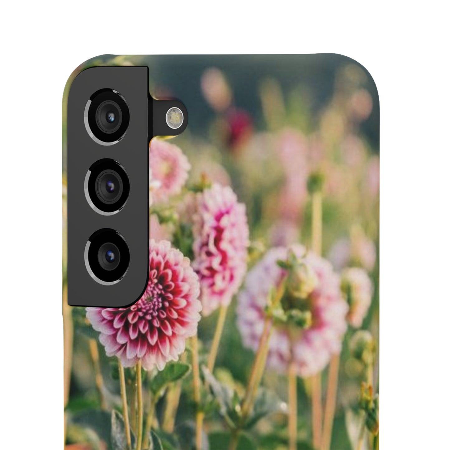 Snap Cases